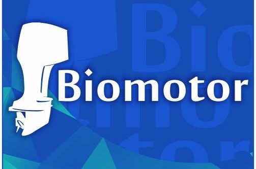 BIOMOTOR LTDA